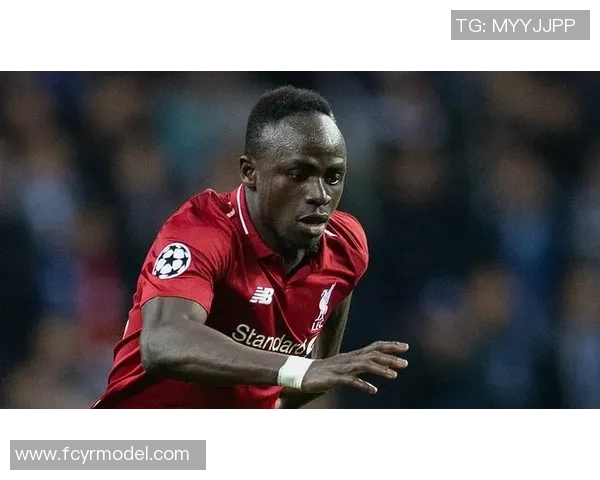 德国足球明星冯的传奇故事与辉煌成就解析